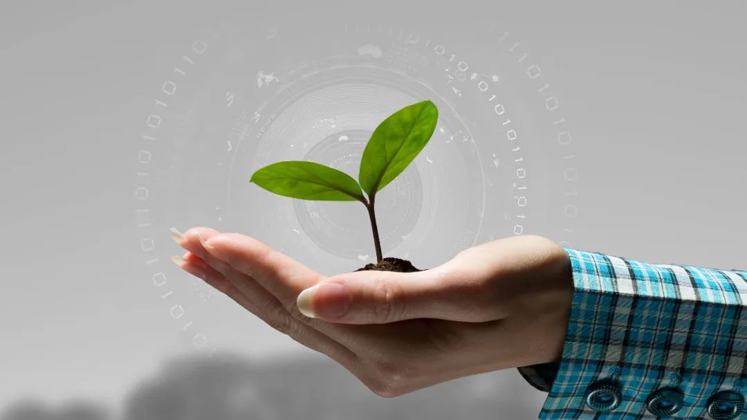 人肉搜索违法,人肉搜索侵权如何维权