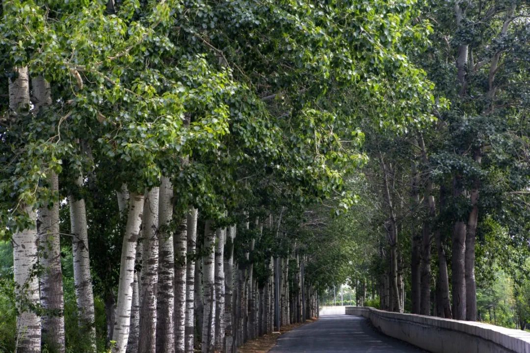 哪凉快哪呆着去绝对是真理,寿光风景优美的地方