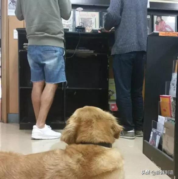 如何在网上买便宜的黑胶唱片,怎样便宜买到黑胶唱片