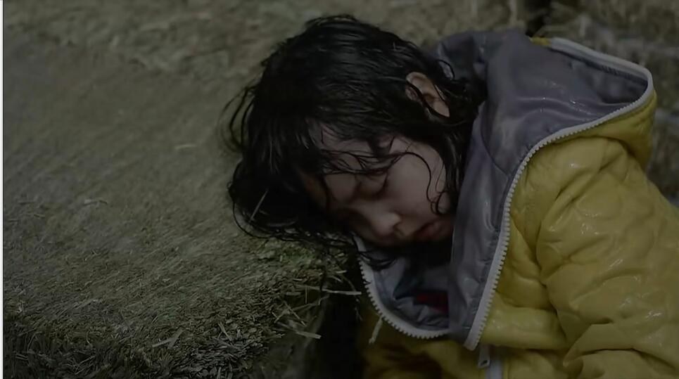 一人一马攀登高峰望故乡完整版,一人一马励志电影