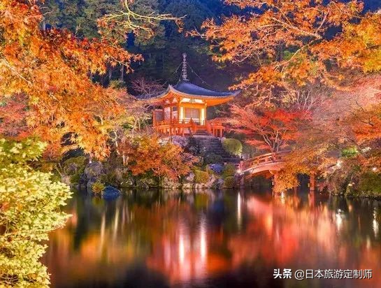 日本最美小景点,日本超美的花海美景