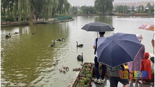 夏天就要去没有太阳的城市避暑,夏天就是要出去玩