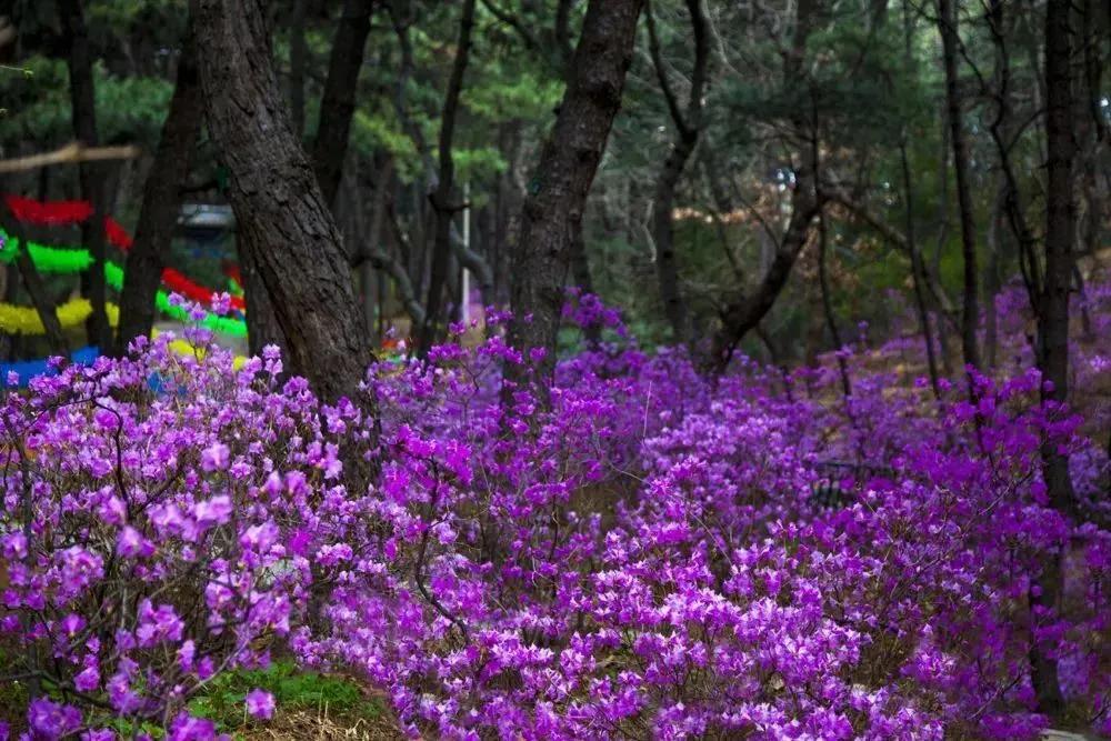 安全出行宝典,北京安全出游好去处
