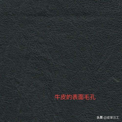 皮包怎么分辨牛皮和人造皮的区别,明明白白消费话术