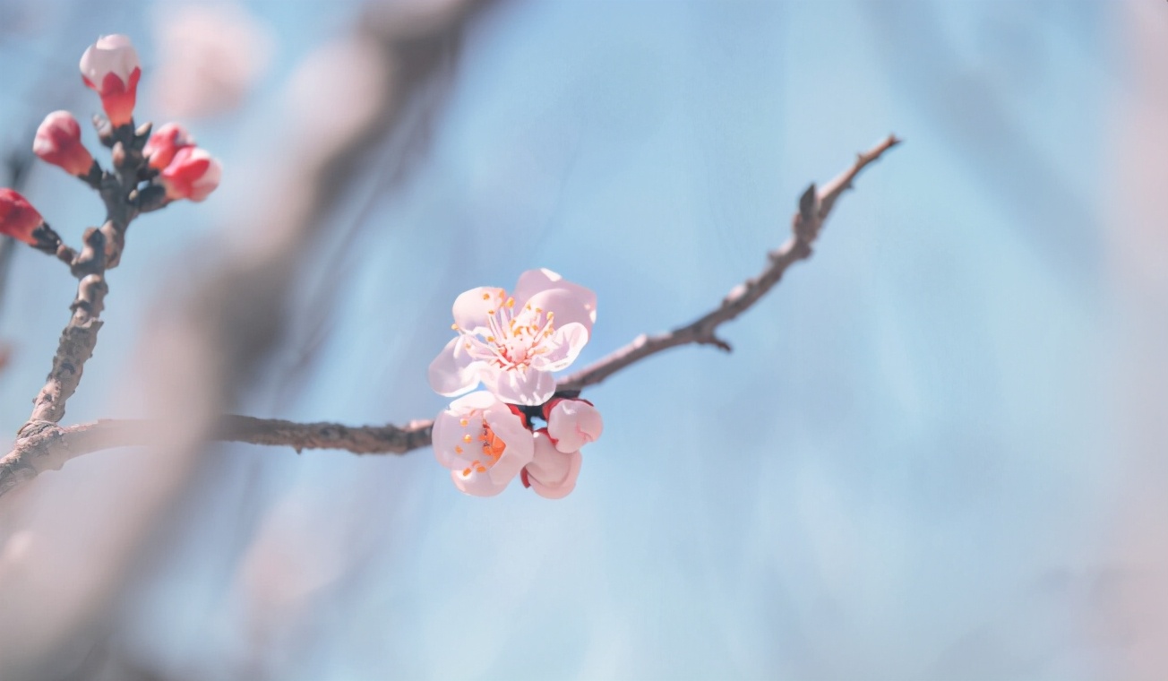 想不动声色地吸引异性,如何不动声色吸引前任