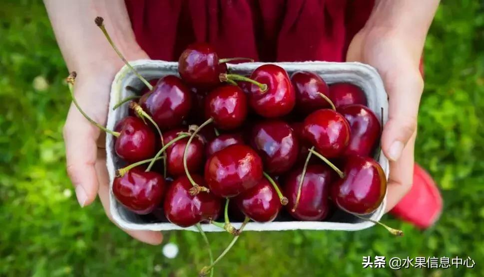 中国水果大全,中国水果大全图片和名字