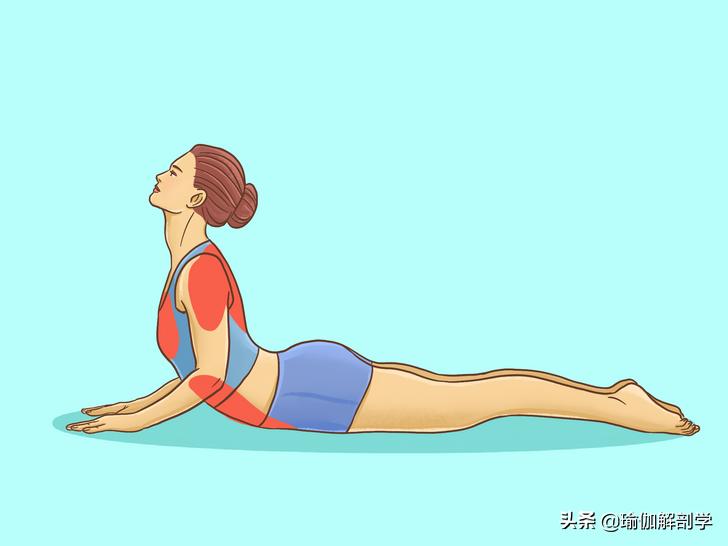 16个基础瑜伽体式“效果图”，初学者练对很重要