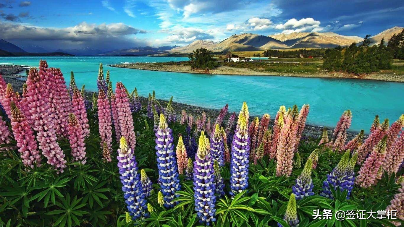 各国签证照片尺寸对照表,最新最全各国签证照片要求快收藏