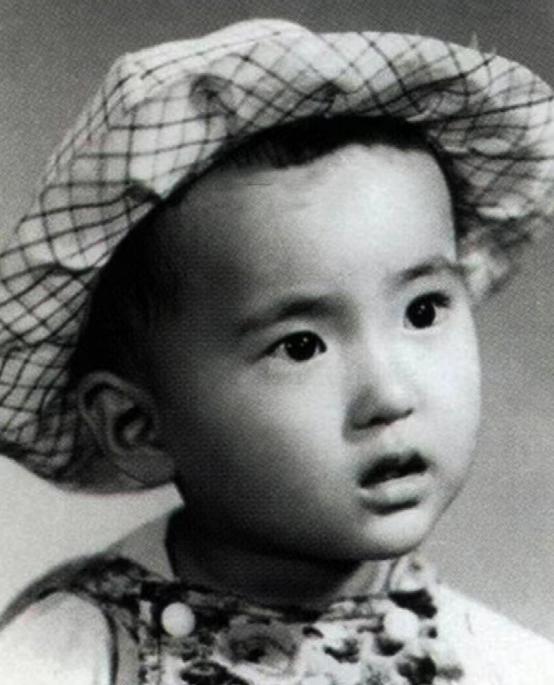 陈晓旭的一生经历,陈晓旭的一生解读