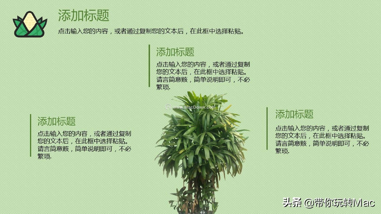 端午节ppt模板,综合实践端午节ppt课件免费