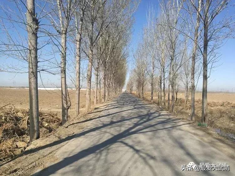 武清六道口的都来看看!写的太好啦!