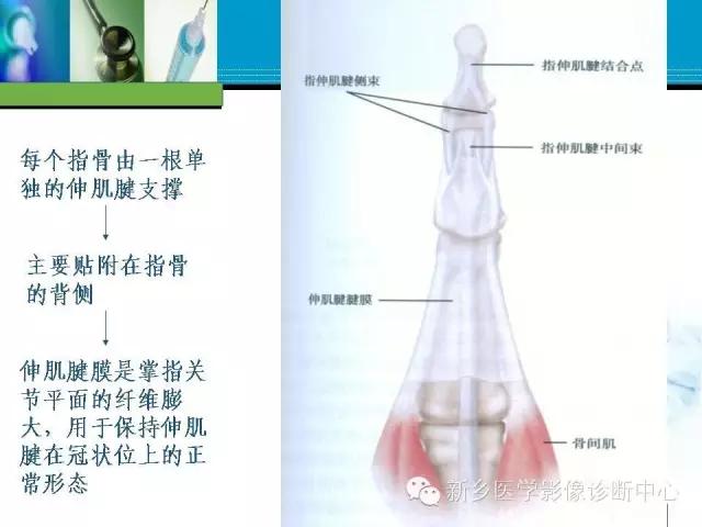 单只手指磁共振,手指用磁共振能做出来结果吗