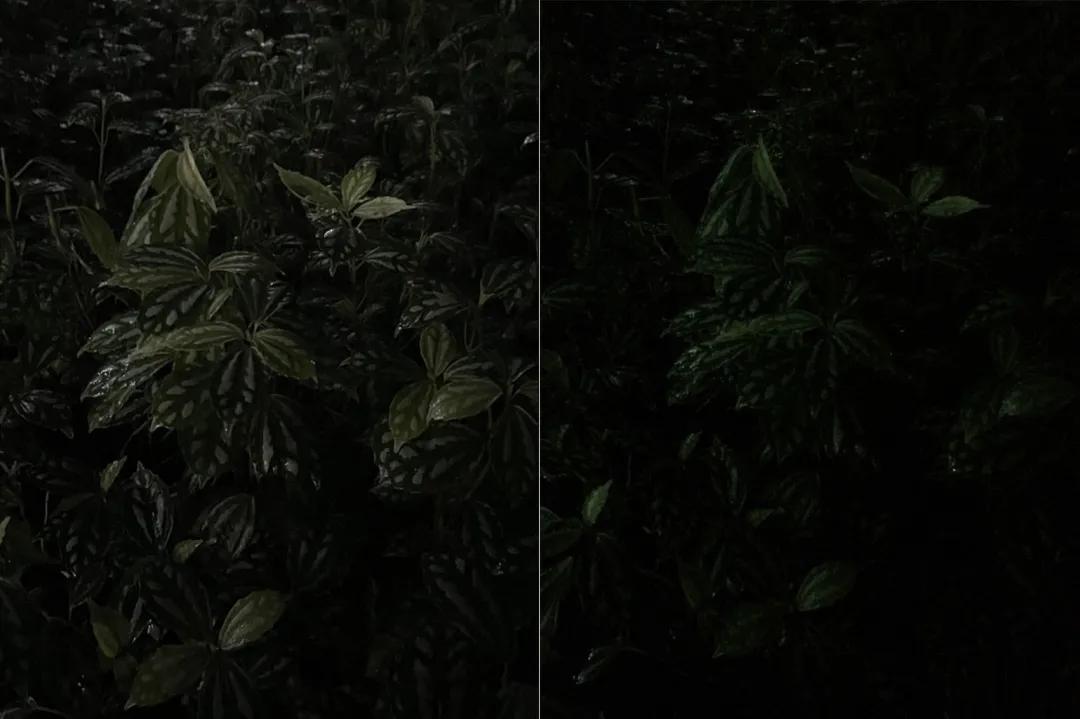 8年前的iphone5还能用吗,8年前的iphone5s还能再战几年