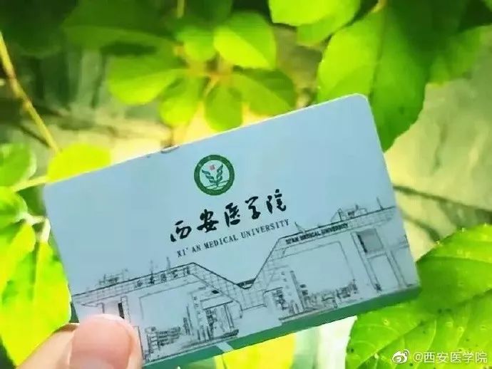 西安三大巨头,西安三巨头学校