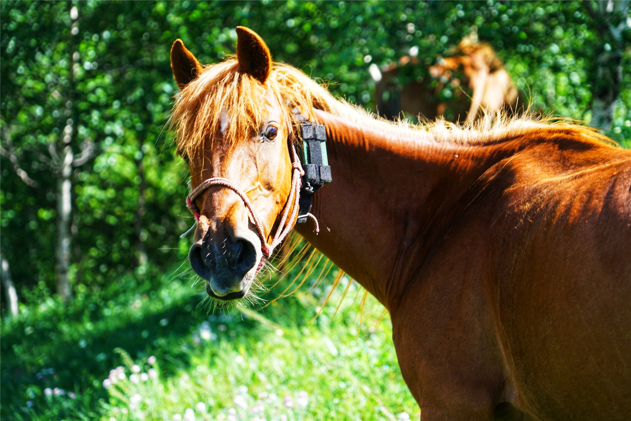 北京自驾避暑旅游攻略,2天一夜避暑胜地自驾游大盘点