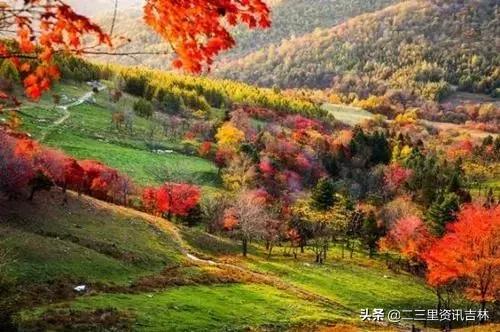 吉林秋天旅游线路,吉林土著推荐周末旅游路线
