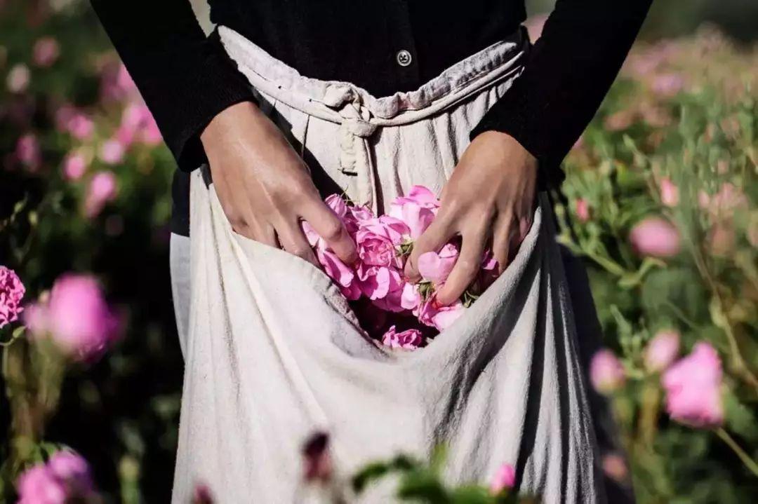 女性用什么精油好呢,女性用什么精油美容最好