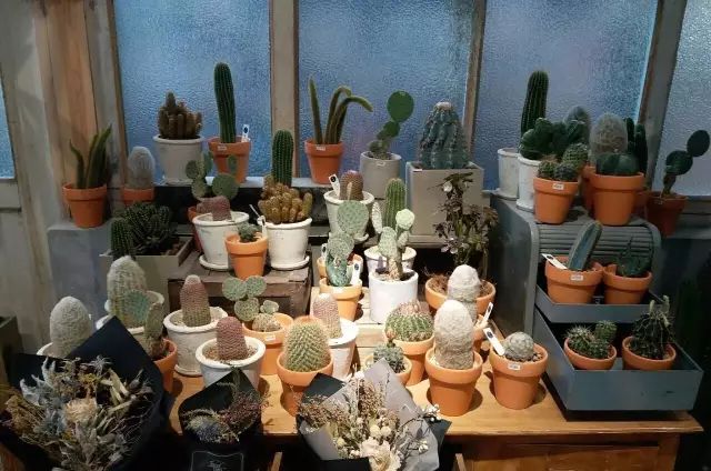 杨澜专访张艾嘉,杨澜采访张艾嘉