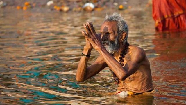 印度掏粪工死于什么病,印度掏粪工死亡人数