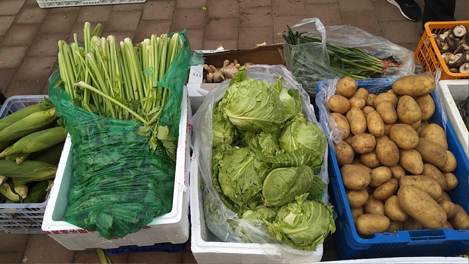 返京人员疫情防疫,抗击疫情医护人员陆续返乡