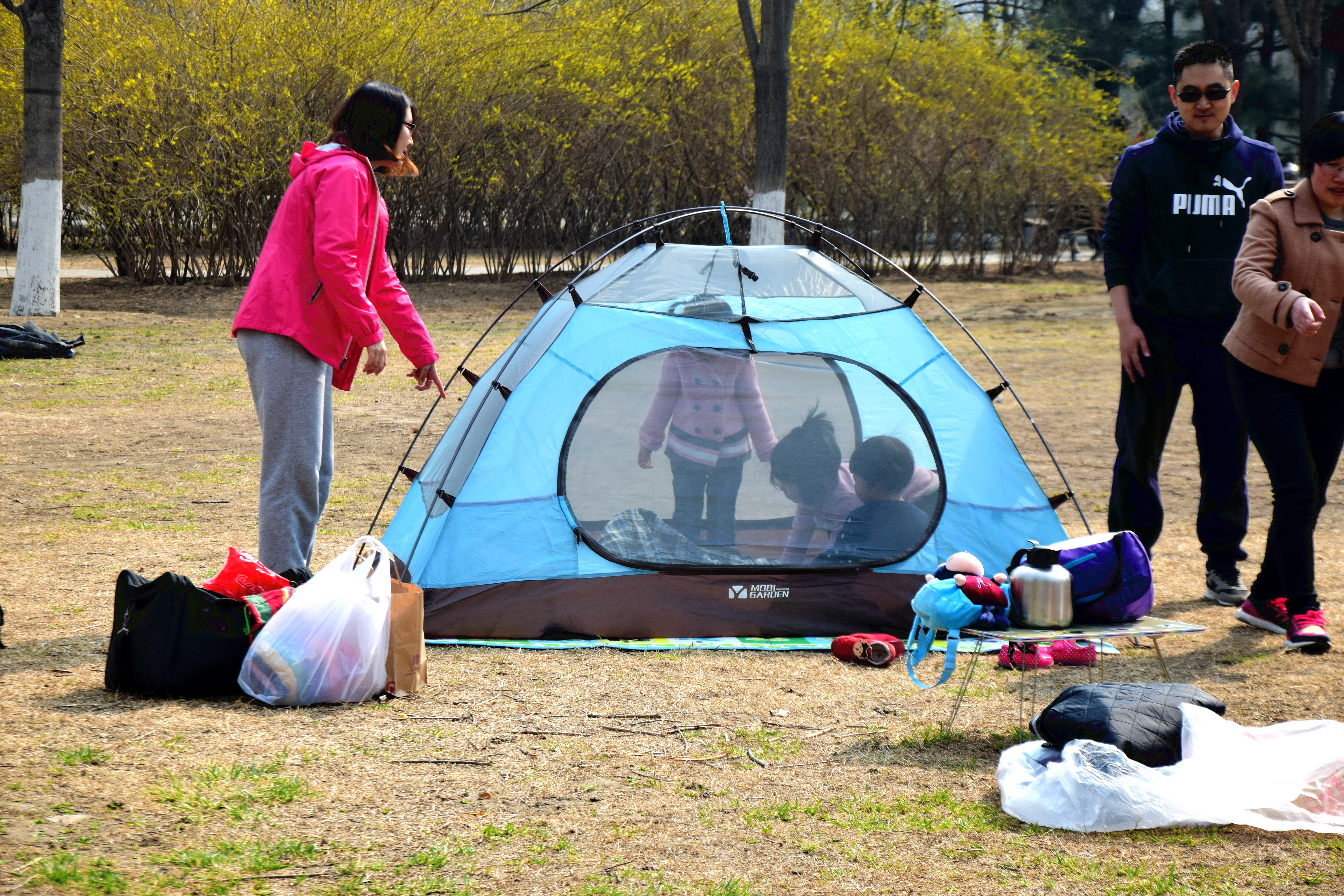 北京奥森开始限流，不允许游客带帐篷，这种场面暂时不会出现了
