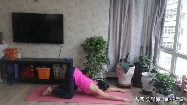 上平板式会使肱骨前移吗,上平板式的讲解