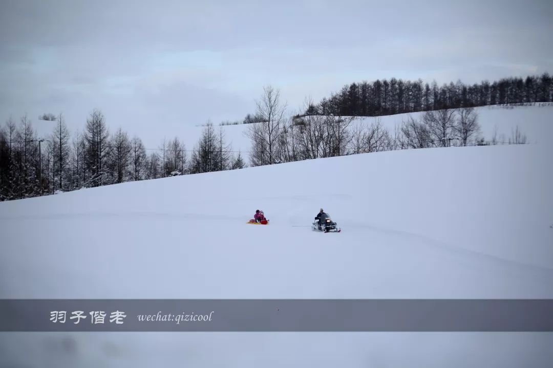 老实说,这一趟北海道就是为了拍好看的照片去的