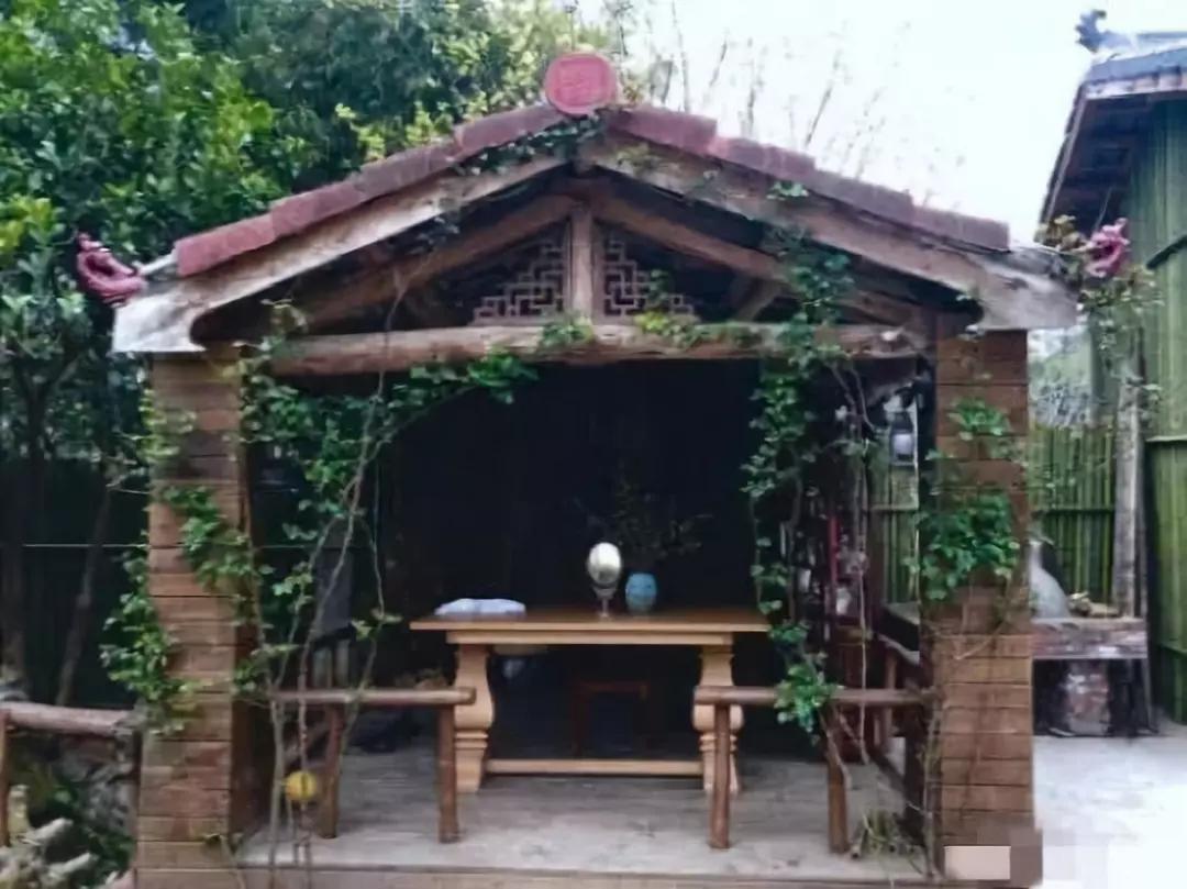 看完李子柒的视频有什么感觉,看李子柒的感想