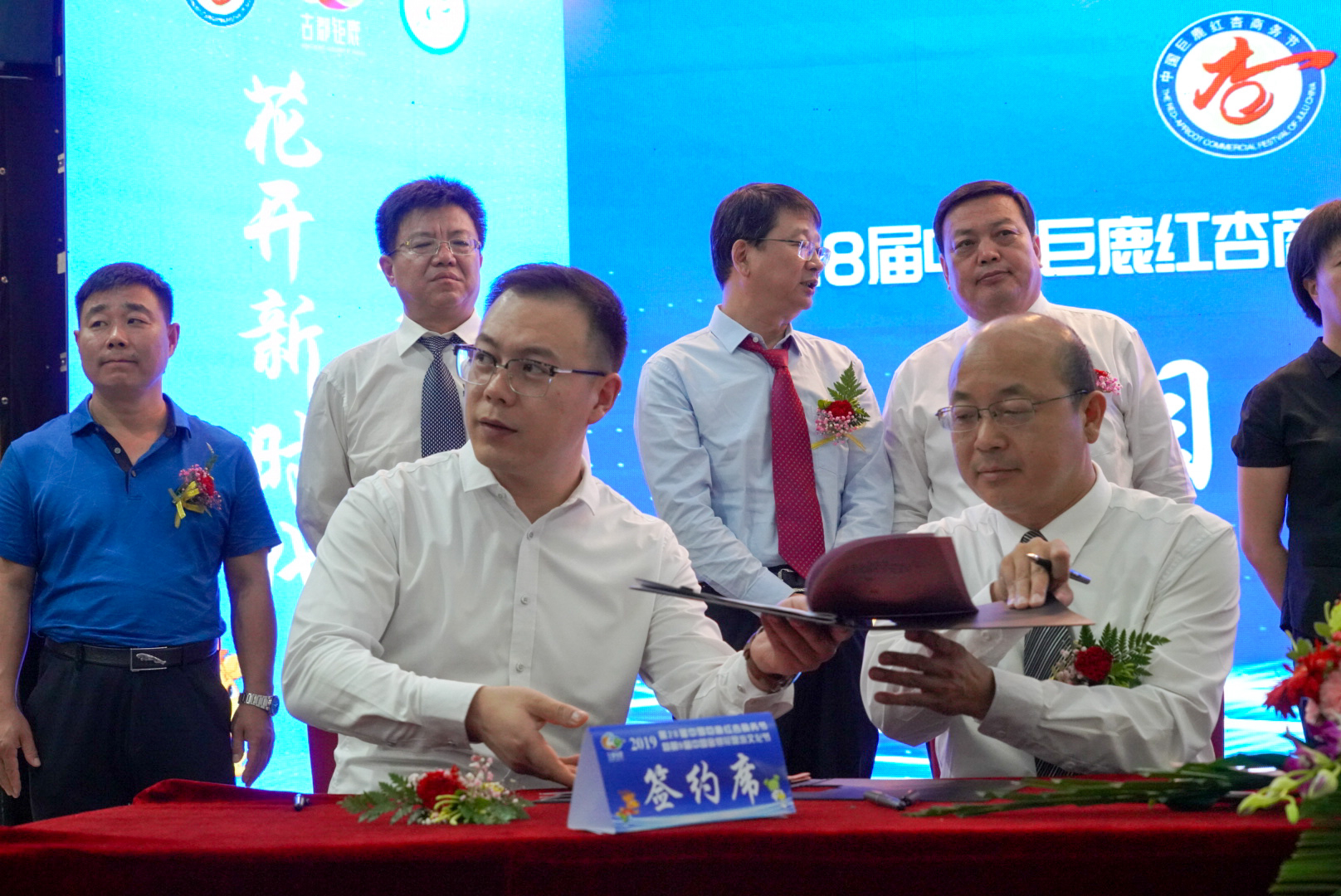 “杏运”来袭：这个县城一件事儿坚持了28年