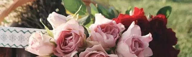 商业分析留学专业推荐机构,留学商业分析专业前景怎么样