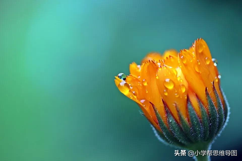 描写景色的比喻句拟人句和排比句,写一句描写家乡山水风光的排比句