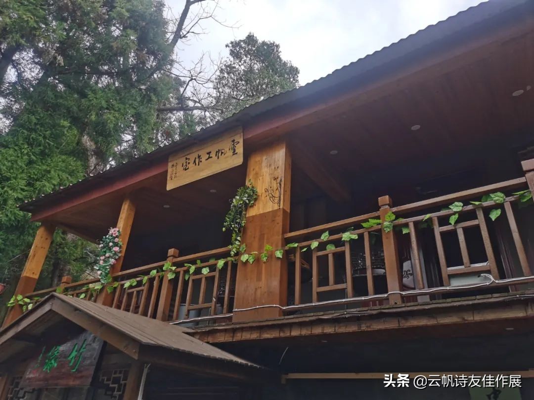 杨新跃最有名的十首诗,现代诗人夏天