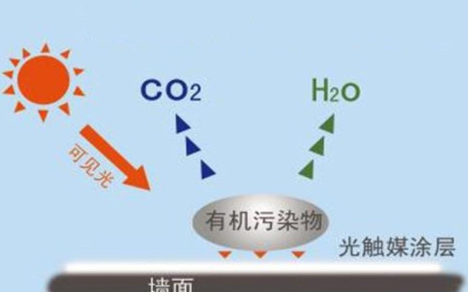 新车除甲醛的方法,装修新房除甲醛方法