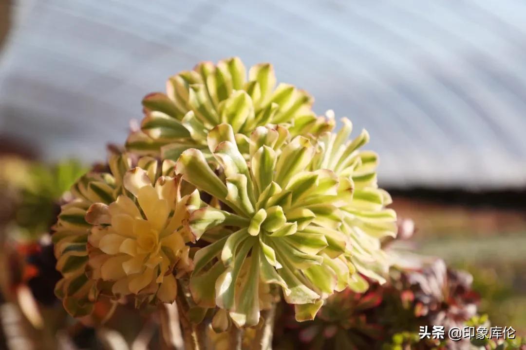 80后创业致富小伙,80后农村小伙创业历程