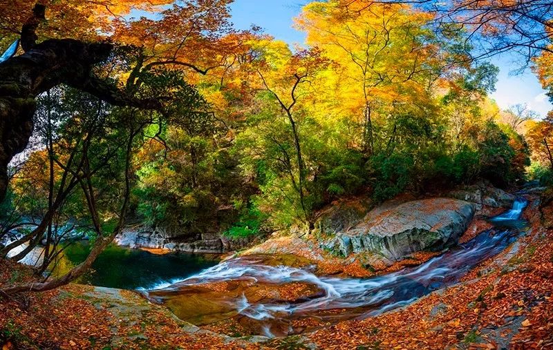 巴中光雾山红叶的最佳时间,红叶谷打卡地