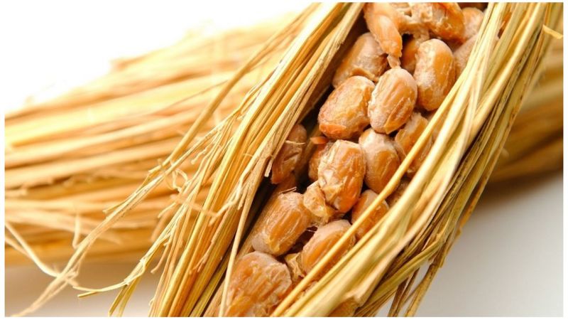 大豆怎么吃最有营养,大豆怎么吃营养最佳