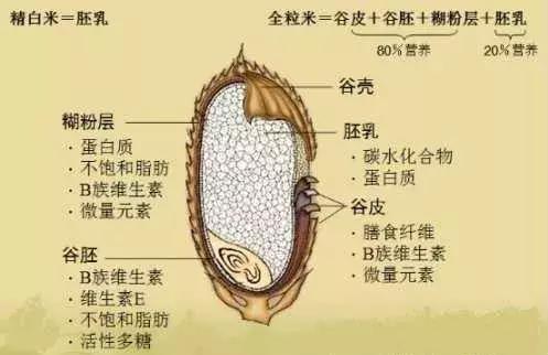 吃火锅冒痘怎么办,吃辣火锅爆痘怎么办