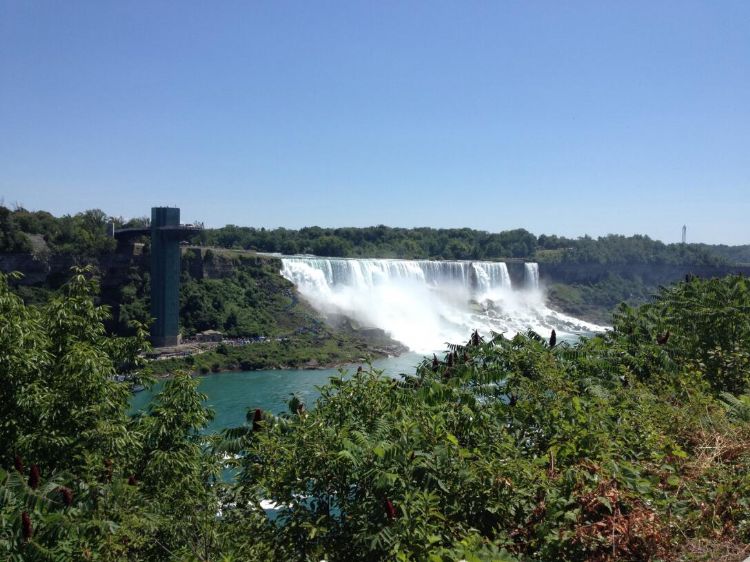 留学归国当地的政策,留学即是镀金意味什么