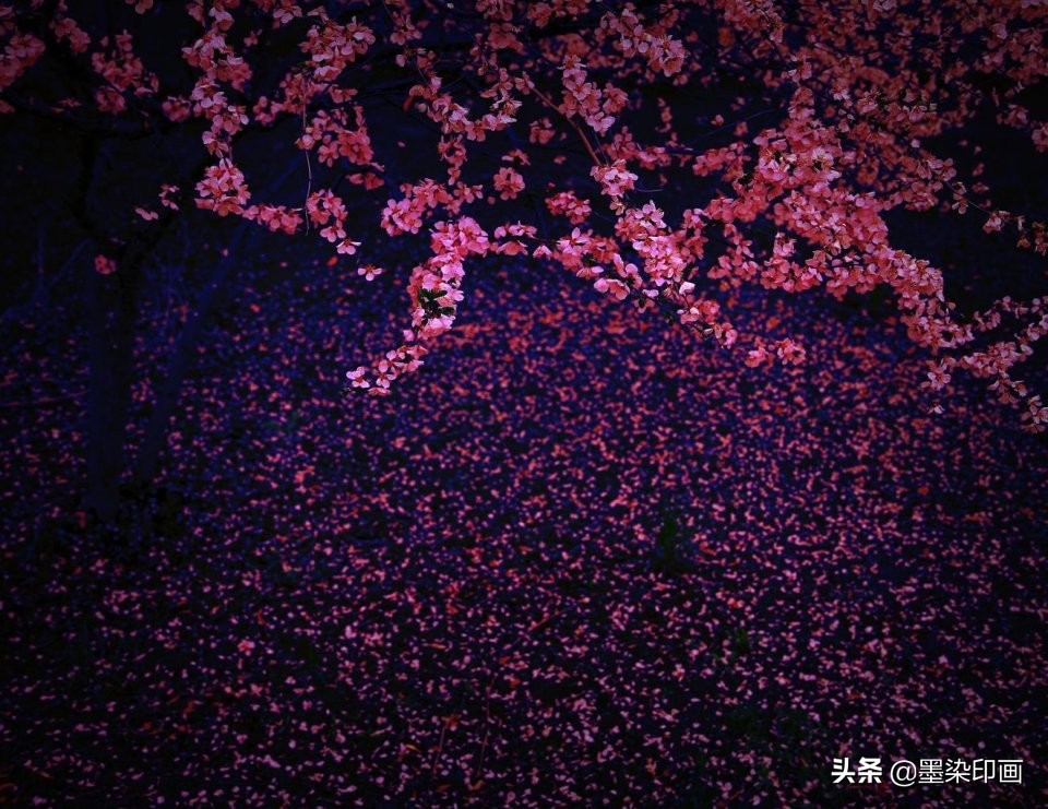 清明节拍摄风景图片,清明节全家踏青照片如何拍摄