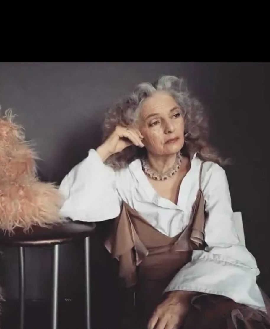 鏄熷姏妯＄壒缁忕邯鍏徃,鍖椾含椤剁骇妯＄壒缁忕邯鍏徃