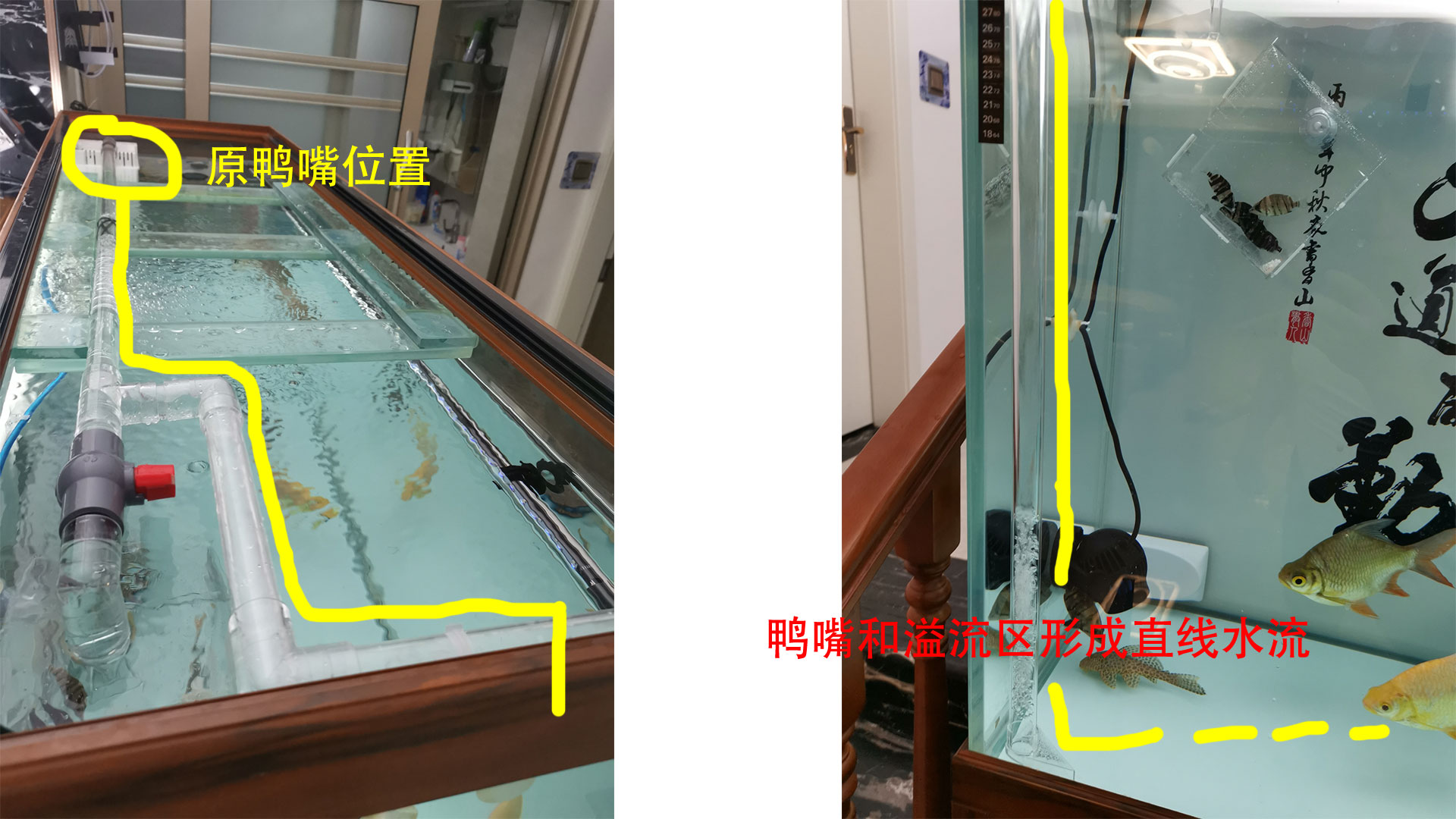 底滤鱼缸里的鱼粪抽不走怎么办,底滤鱼缸为什么吸不走缸底的粪便