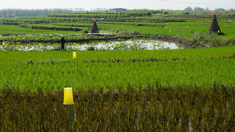 骄傲战队成员登场,骄傲战队新成员