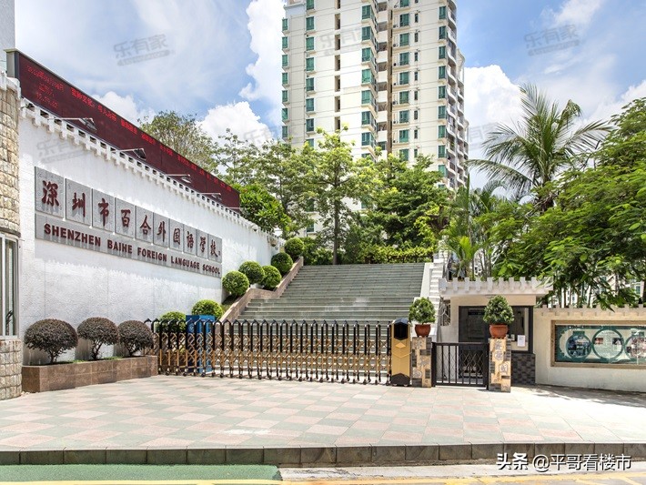 深圳市中心攻略,深圳布吉岛旅游攻略