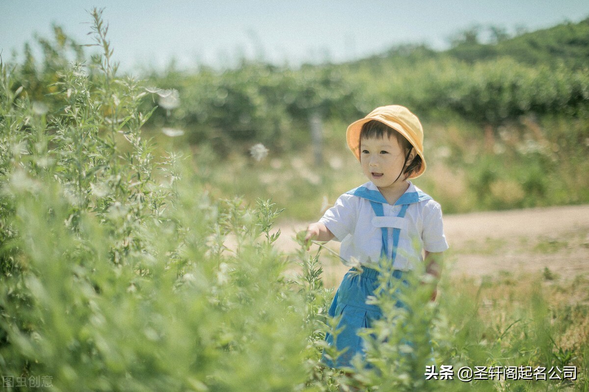 宝宝2021年出生起名大全,宝宝起名智慧名字大全2021