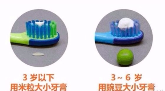 氟在牙齿内的存在形式,氟是好还是不好