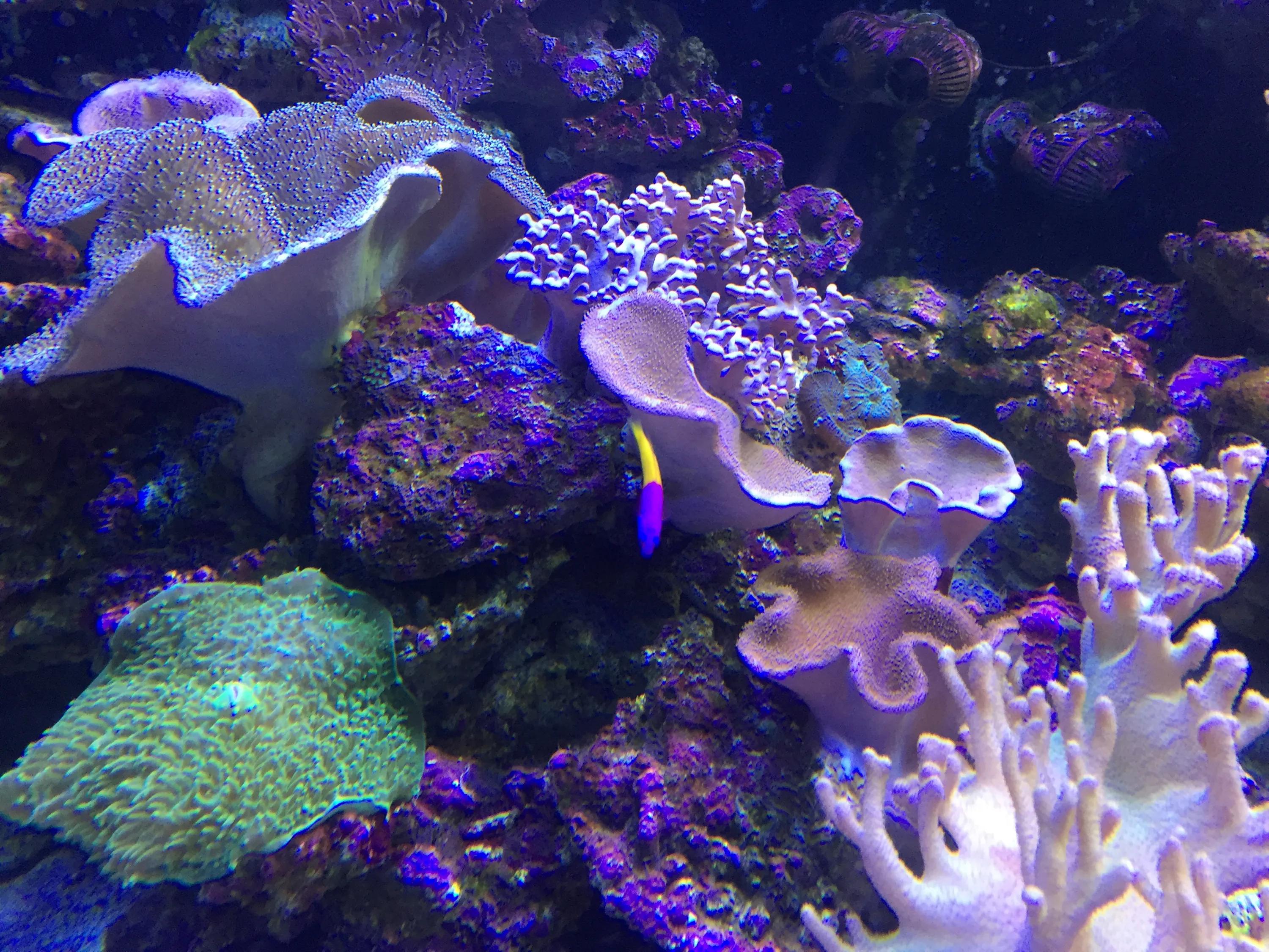 京津冀旅游一卡通海底世界,海底世界可以用旅游一卡通吗