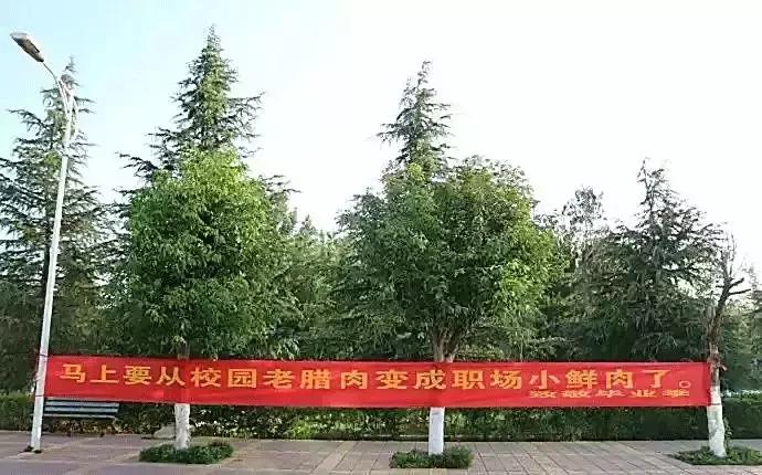 高校走心毕业季标语惹哭网友,毕业季校园里这些横幅看哭了