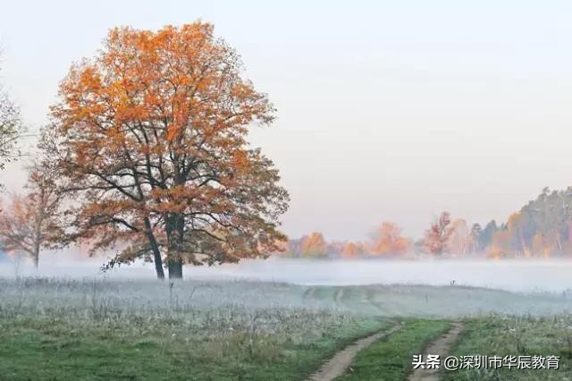 考研经验帖投稿视频,考研华中科技大学经验帖