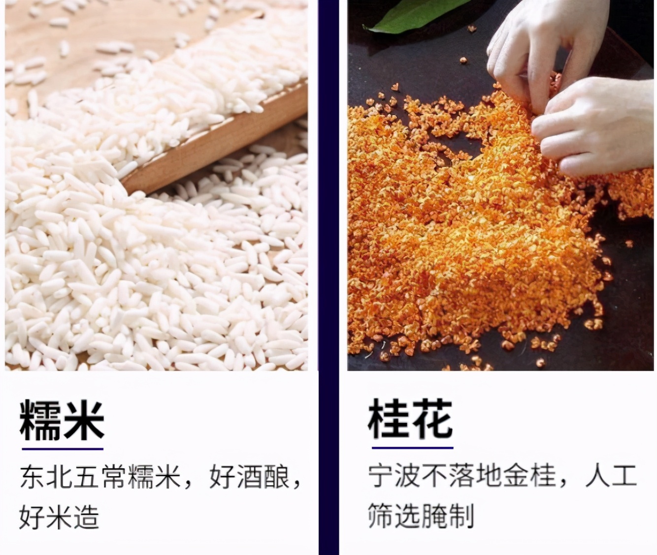 寻茶说奶茶哪个好喝,寻茶说奶茶配方