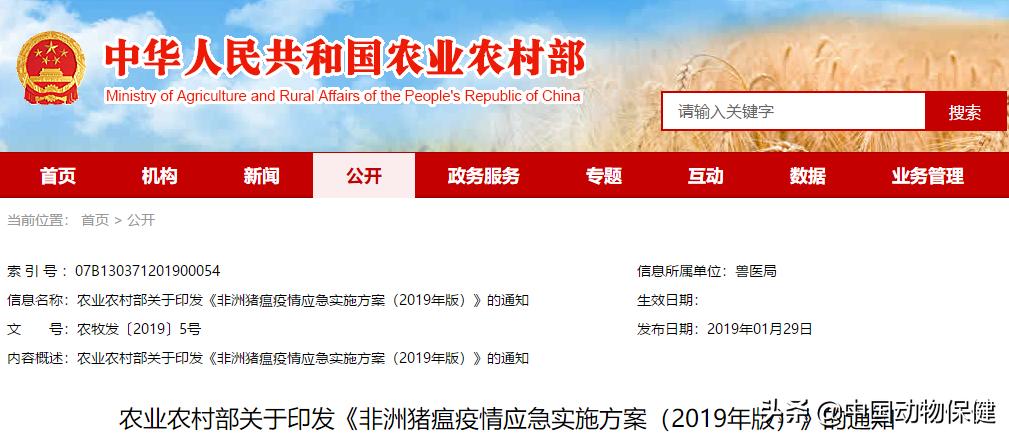 好消息!疫区内生猪不再全部扑杀!非洲猪瘟疫情应急实施方案(2019年版)